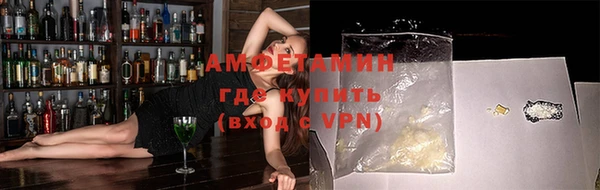 прущие грибы Няндома
