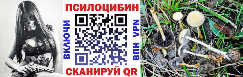 Псилоцибиновые грибы мицелий  kraken ТОР  Теберда 